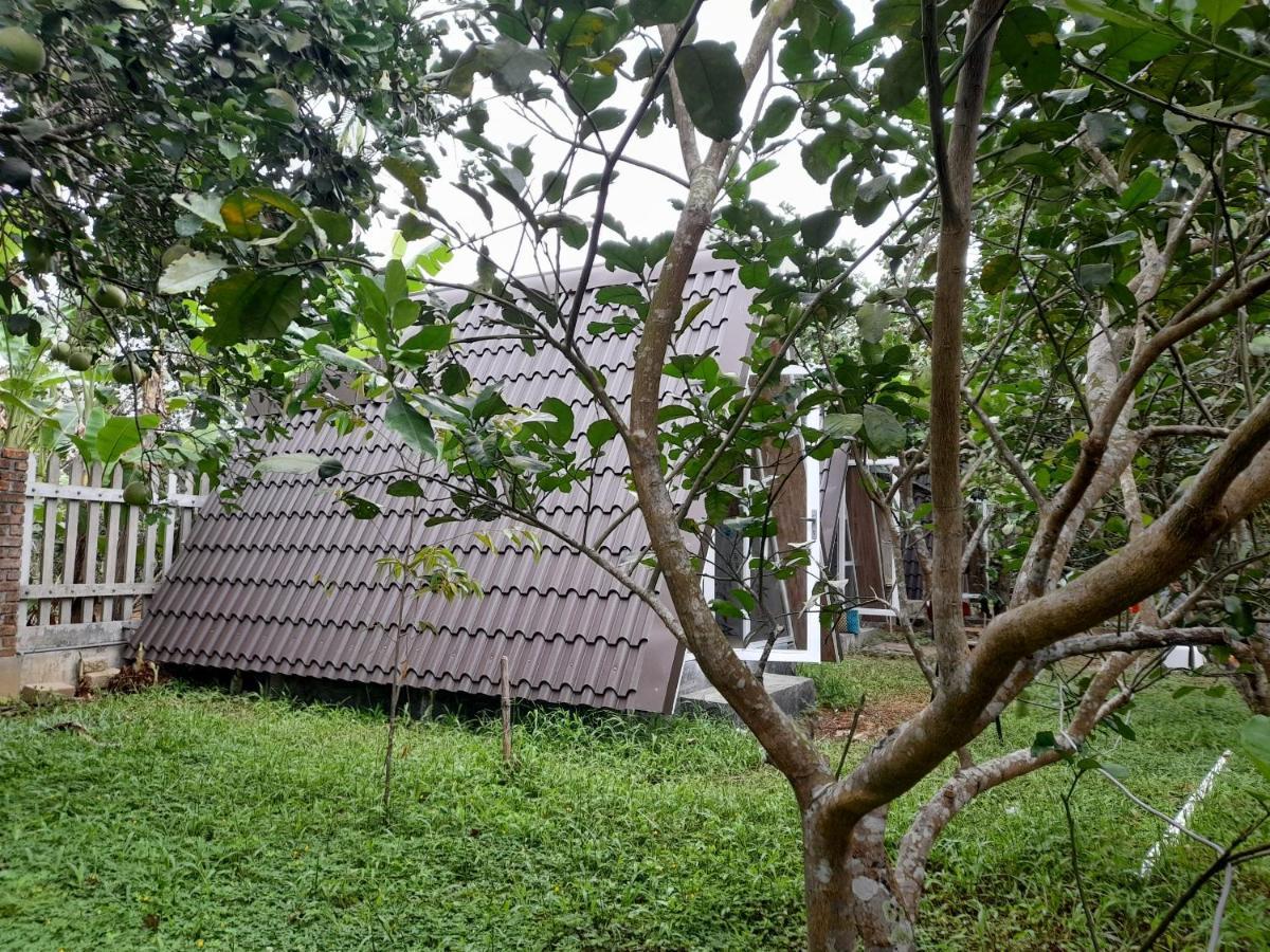 Tam Tinh Vien Homestay Hue Luaran gambar