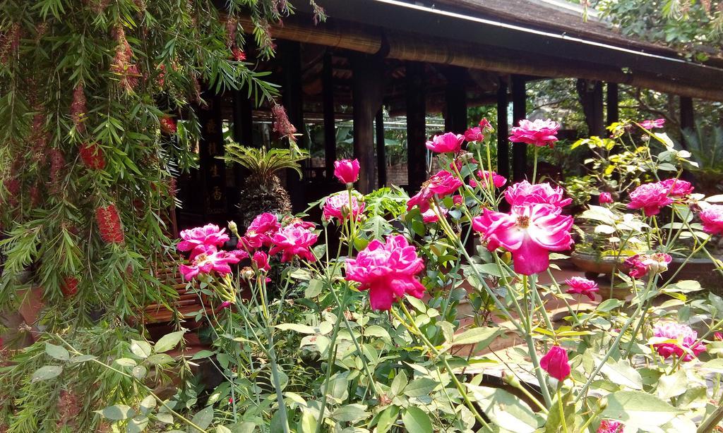 Tam Tinh Vien Homestay Hue Luaran gambar