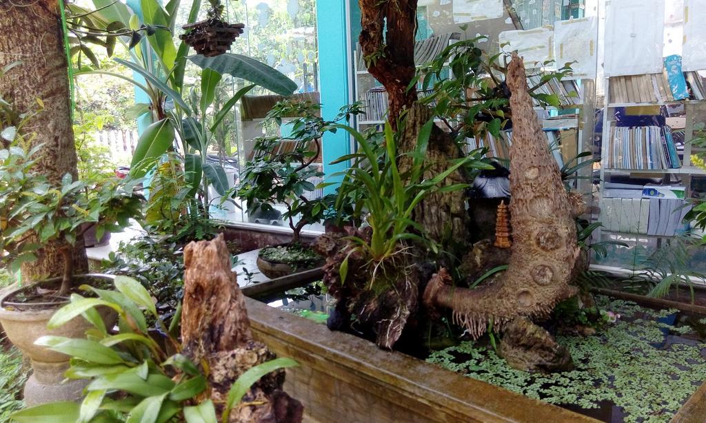 Tam Tinh Vien Homestay Hue Luaran gambar