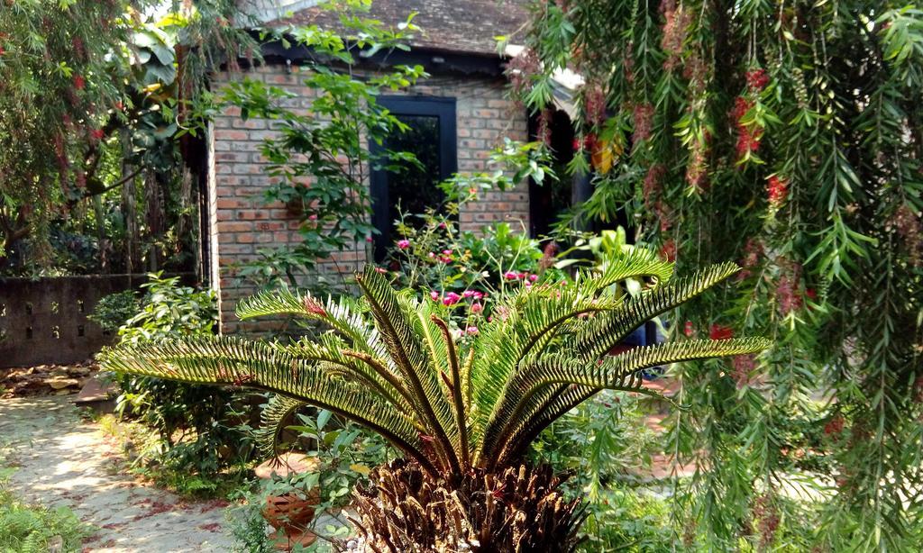 Tam Tinh Vien Homestay Hue Luaran gambar