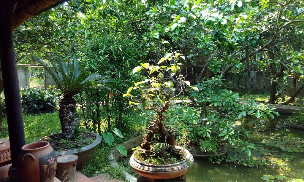 Tam Tinh Vien Homestay Hue Luaran gambar