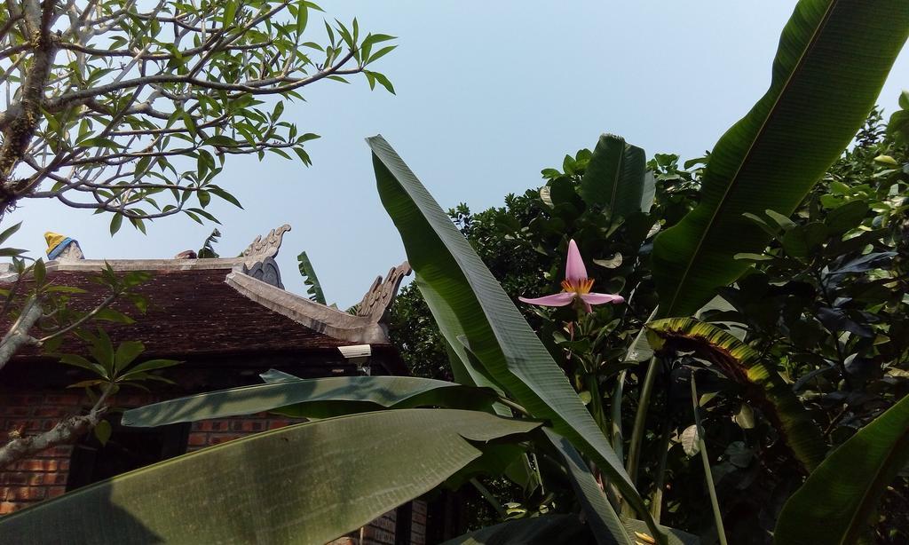 Tam Tinh Vien Homestay Hue Luaran gambar